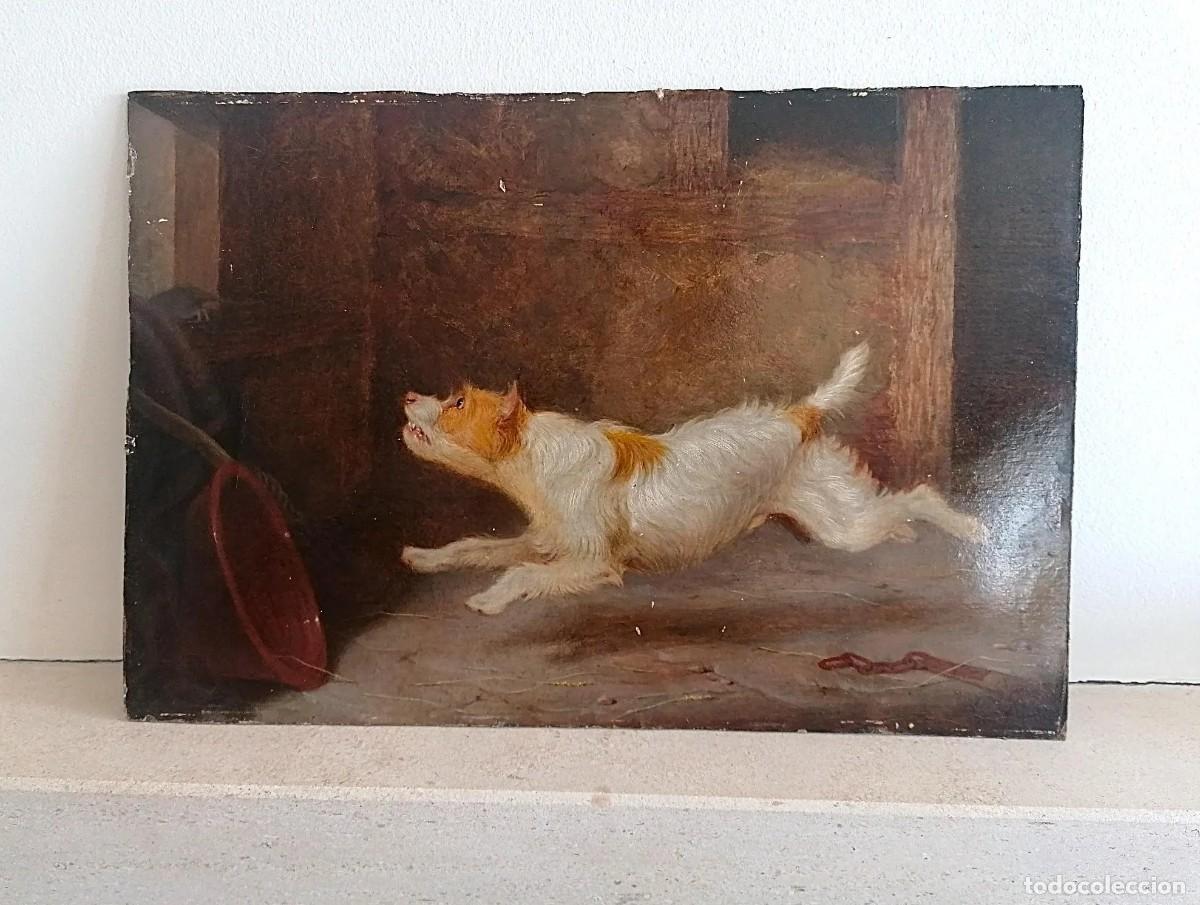 Arte: Pintura al &oacute;leo antigua: Terrier persiguiendo a una rata. Inglaterra.