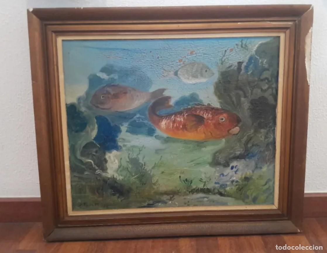 Arte: &Oacute;leo sobre lienzo firmado Josep Miret Aleu (1954) &ndash; Escena marina con peces &ndash; 60x50 cm