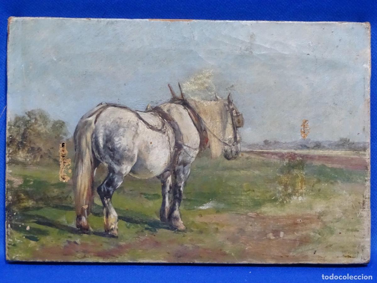 Arte: &Oacute;LEO ANONIMO DE GRAN CALIDAD. CABALLO. FINALES SIGLO XIX PRINCIPIOS XX.