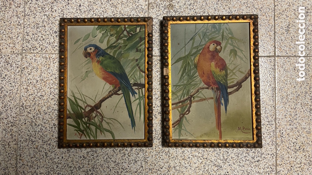 Arte: Pareja de cuadros vintage de loros &ndash; pintura sobre lienzo &ndash; marcos dorados