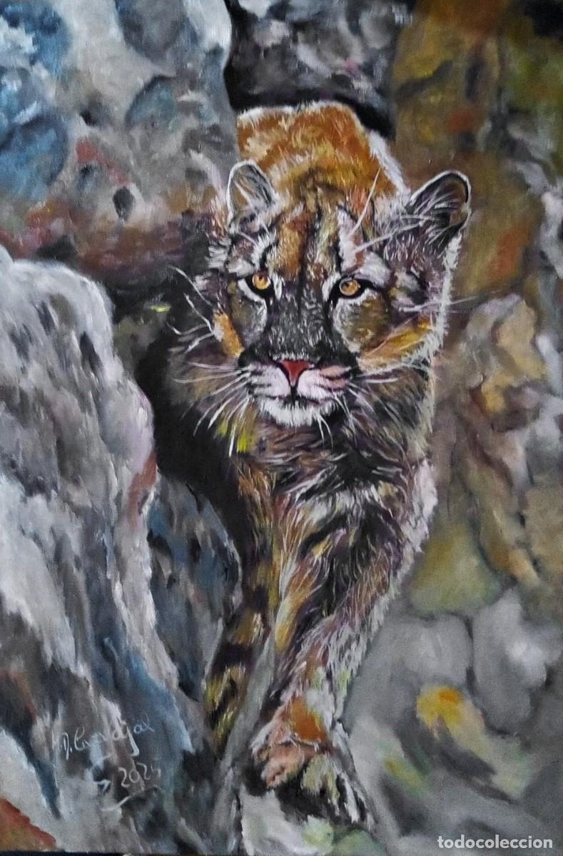 Arte: oleo tabla 70*50 cm puma