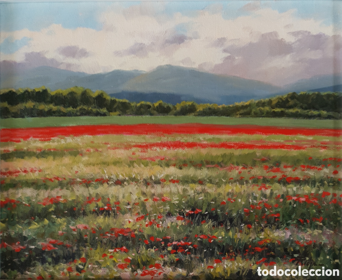 Arte: Firmado Rioja - Campos de Amapolas.Oleo/Tela.