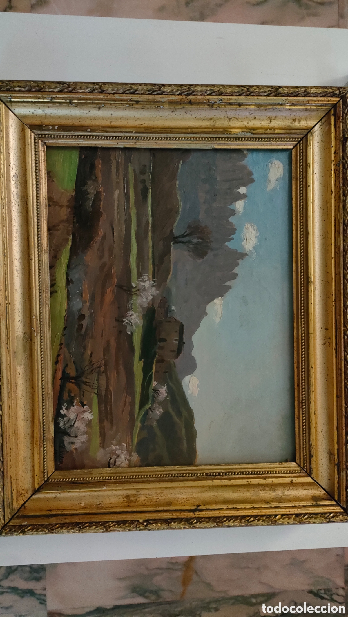 Arte: TOMAS VIVER AYMERICH. MONTSERRAT