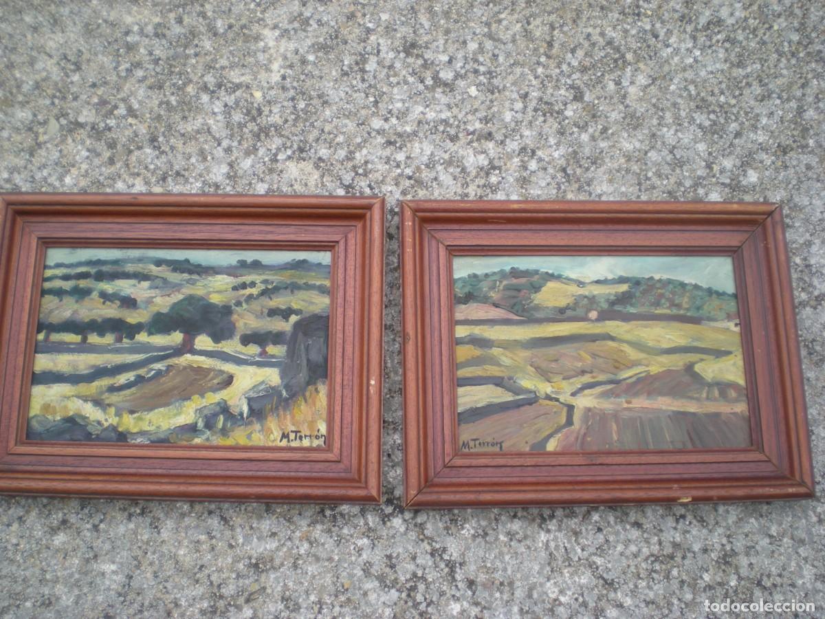 Arte: Oleo sobre tablex paisajes 2 cuadros mitad siglo XX firmados M. Terr&oacute;n marco 38X29 hueco 28X19