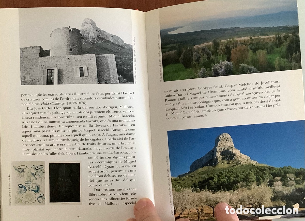 Arte: La solitude de Miquel Barcelo - Foto 3