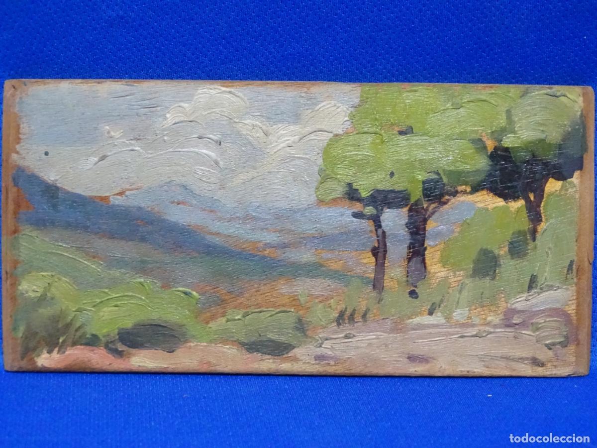 Arte: &Oacute;LEO SOBRE TABLA ANONIMO. ESCUELA CATALANA DE BUEN TRAZO. PAISAJE.
