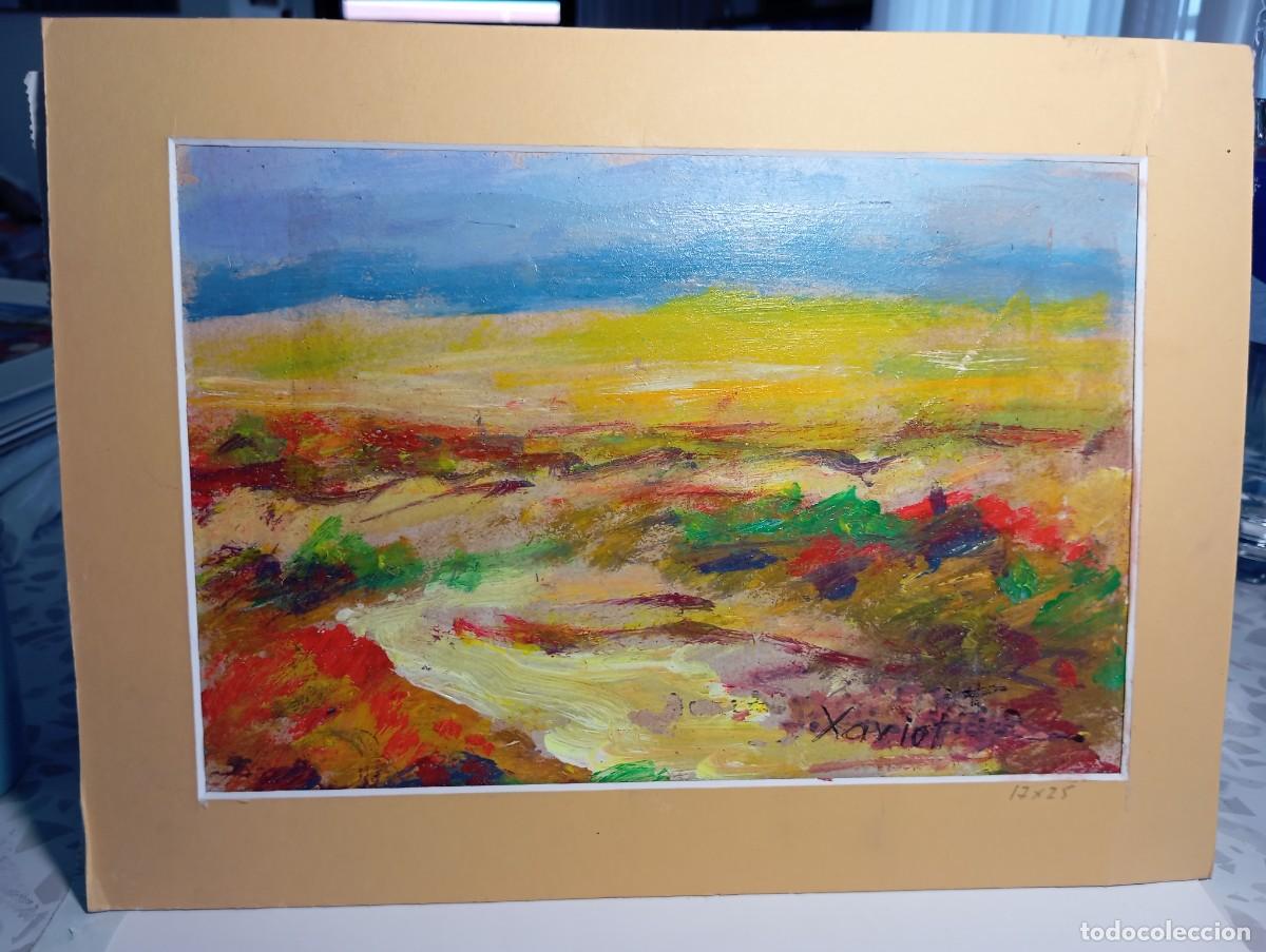 Arte: paisaje manchuela de la mancha