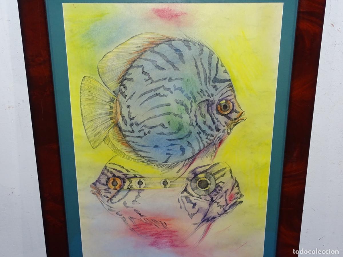 Arte: T&Eacute;CNICA MIXTA JOAN PIJOAN I MUXART 97. PECES.