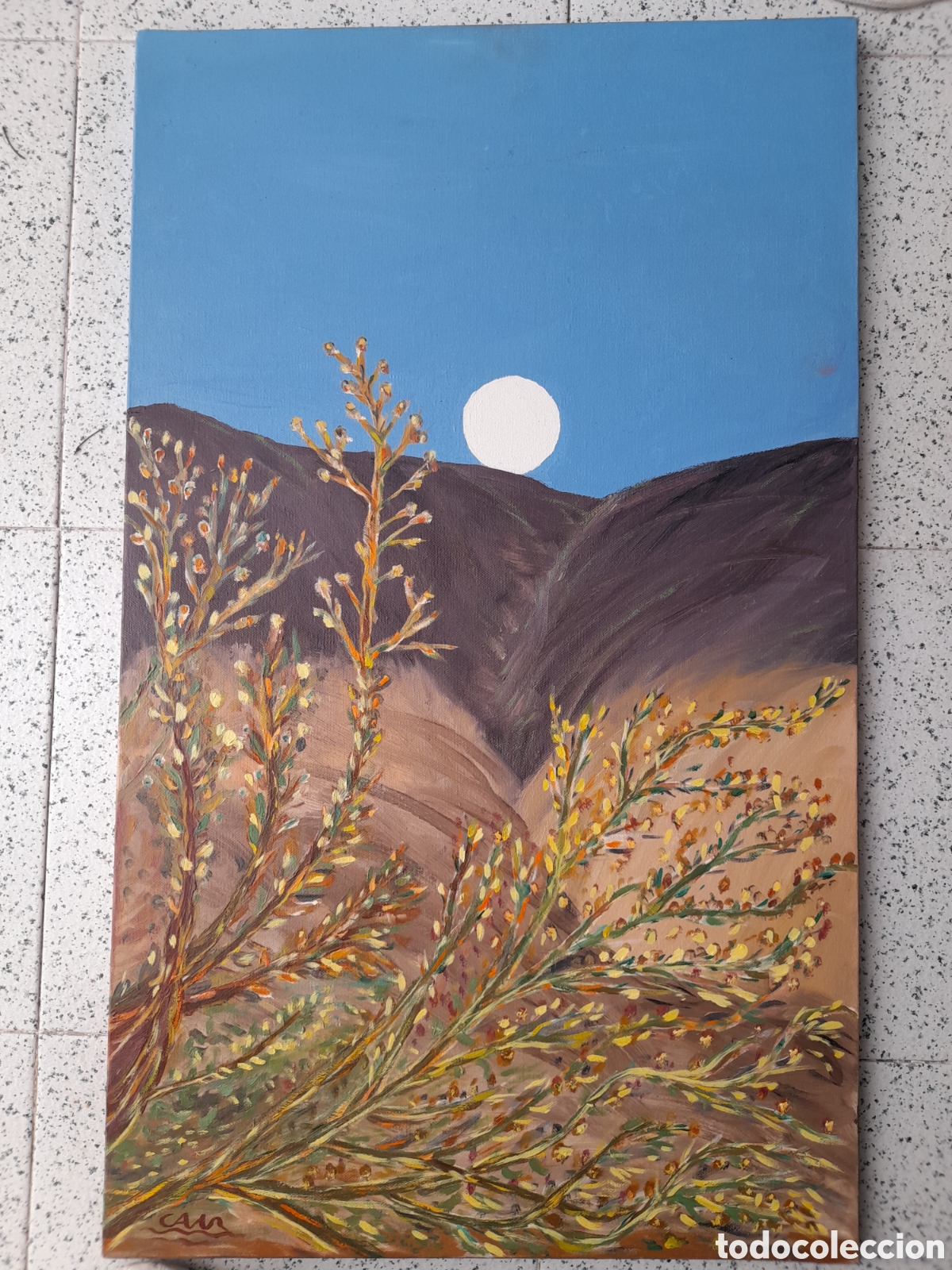 Arte: SILENCIO Y LUZ: ESENCIA DEL DESIERTO&rdquo; Obra Original de la Artista Carmen Andr&eacute;s Melero (Canet