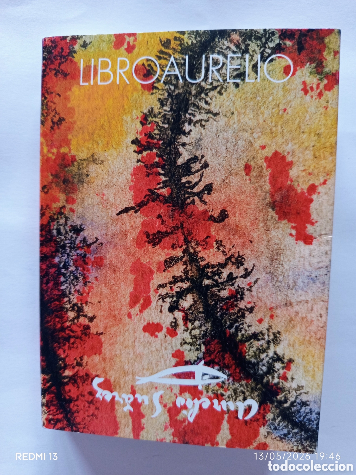 Arte: Aurelio Su&aacute;rez. Libro 40 postales