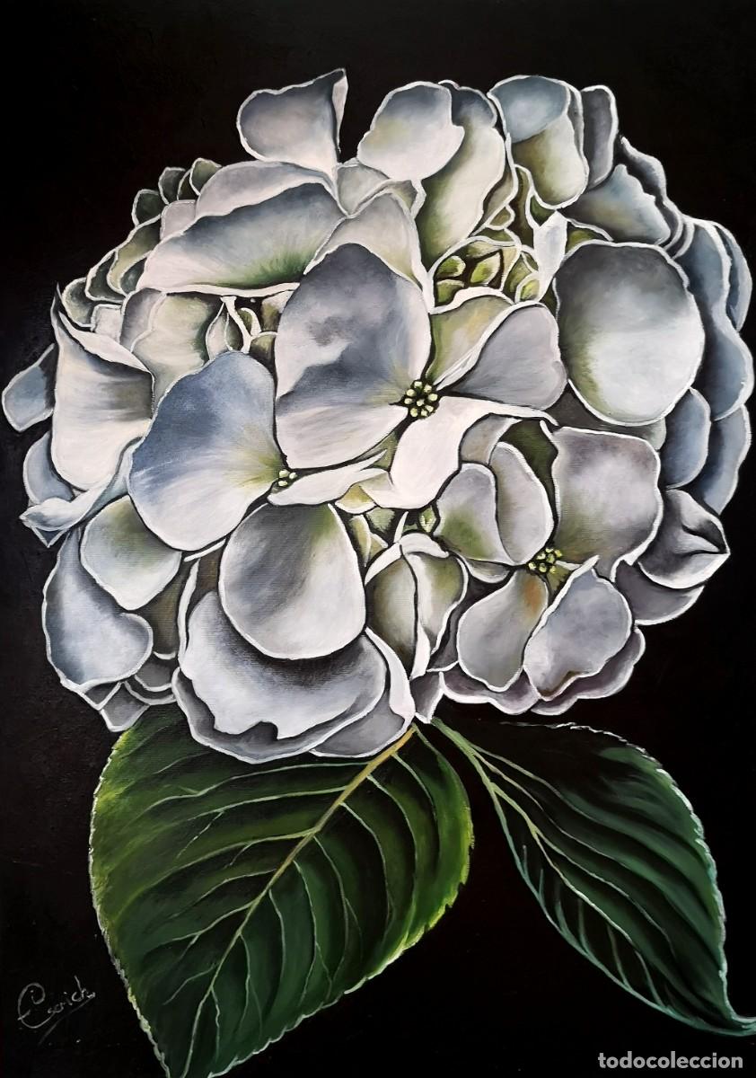 Arte: Hortensia blanca-&Oacute;leo sobre lienzo pintado por Inma Escrich