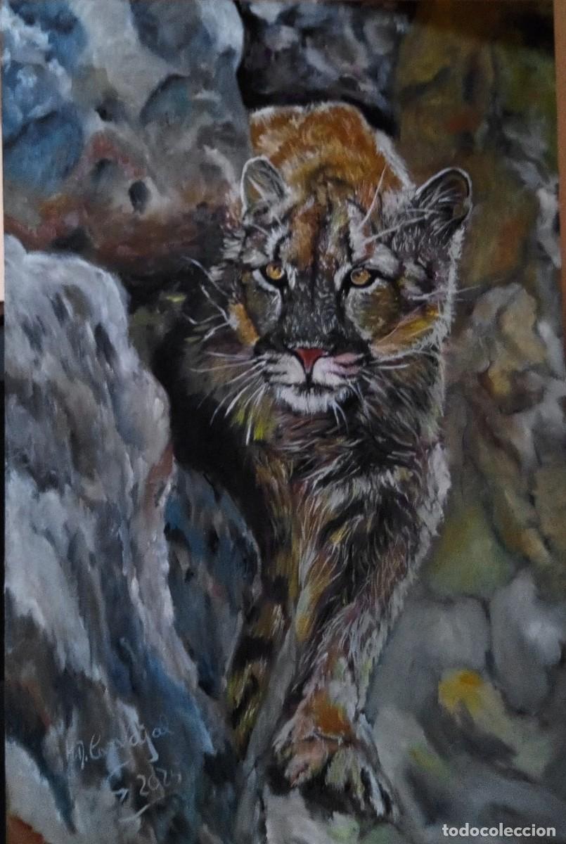 Arte: oleo sobre tabla 70*50 cm por M.D. Carvajal