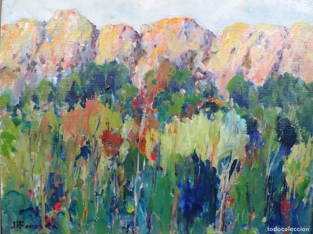 Kunst: &Oacute;LEO TABLEX JOSEP MAR&Iacute;A FORCADA I CASANOVAS (BARCELONA 1941). PIRINEO CATAL&Aacute;N.