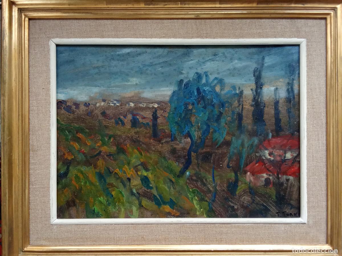 Art: TRINITAT TORN&Eacute; - PAISAJE-