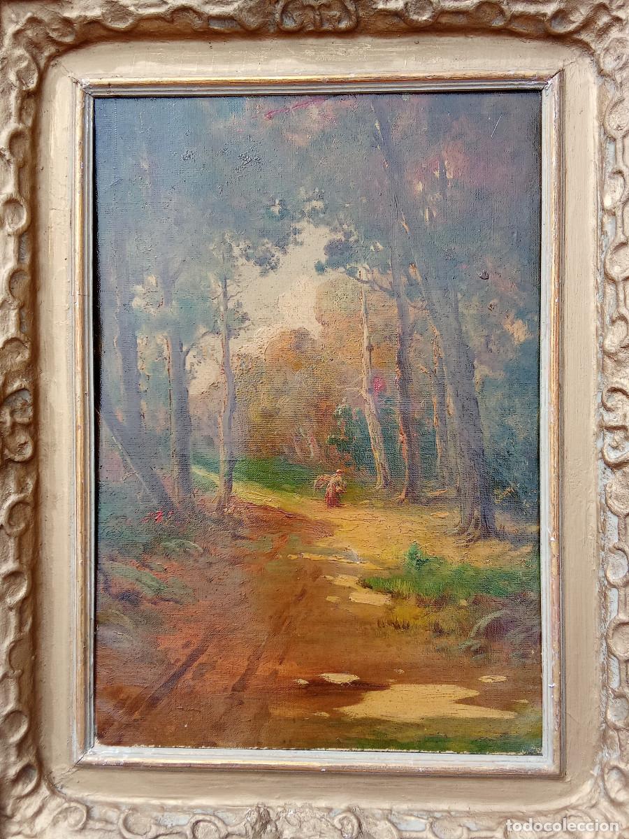Kunst: PERE NAVARRO ESCUDER - CAMINO EN EL BOSQUE-
