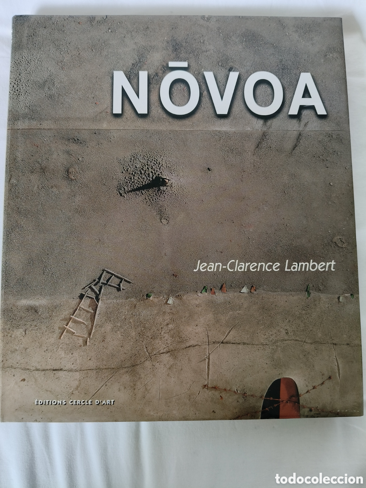 Arte: Libro N&oacute;voa con obra original