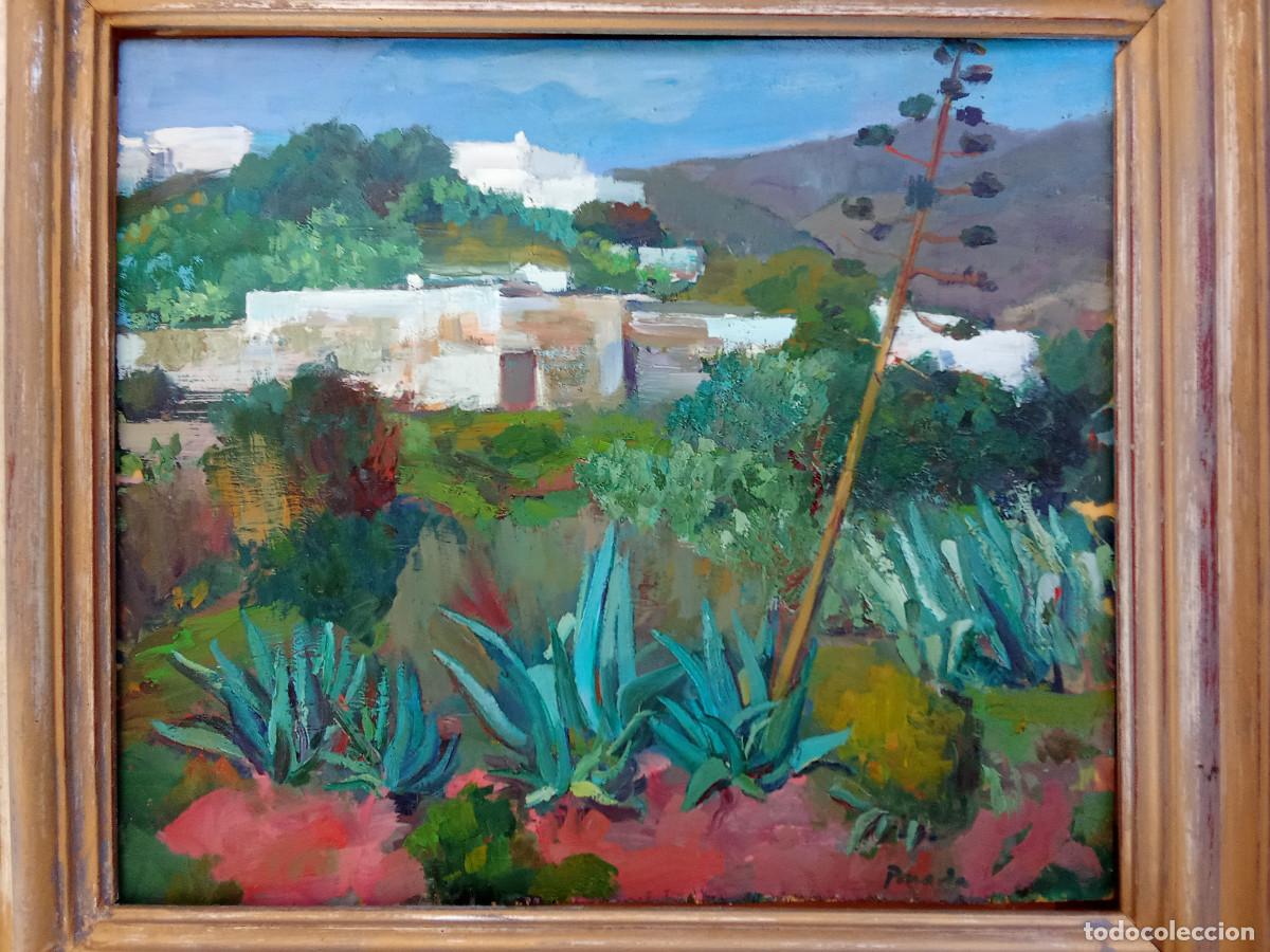 Art: ANTONIO PINEDA- AGUA DE ENMEDIO - MOJACAR (ALMER&Iacute;A)-