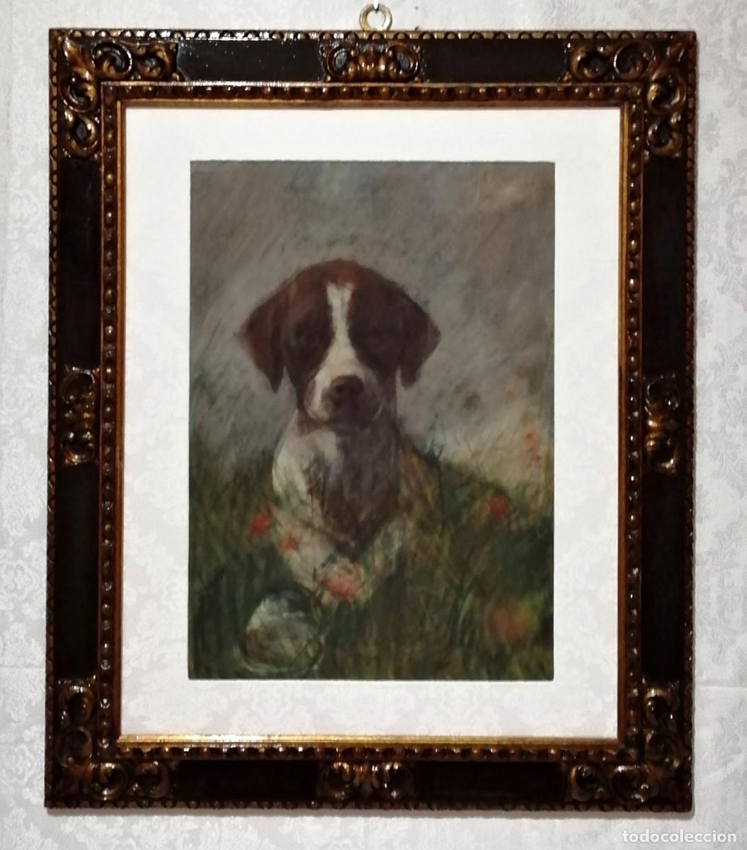 Arte: Adam Benno. Pointer ingl&eacute;s. 1855.