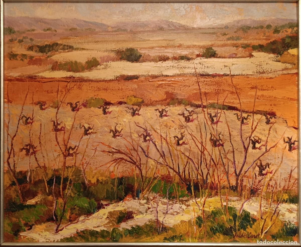 Arte: Paisaje al &oacute;leo, vi&ntilde;edo y tierras, de Vald&eacute;s Canet