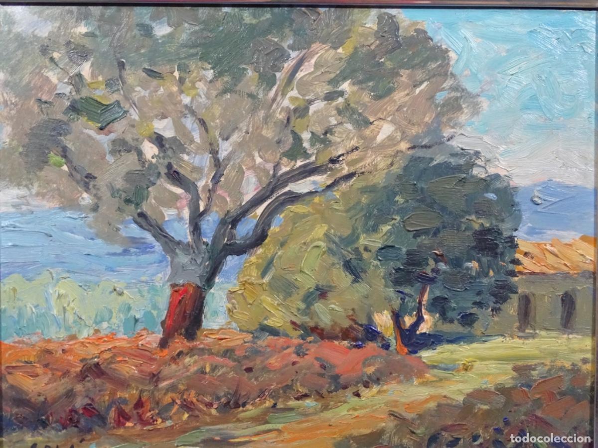 Art: &Oacute;LEO TABLEX ANTONI SOL&Agrave; I BORREL. PAISAJE DE LLAGOSTERA, CORCHO 1962.