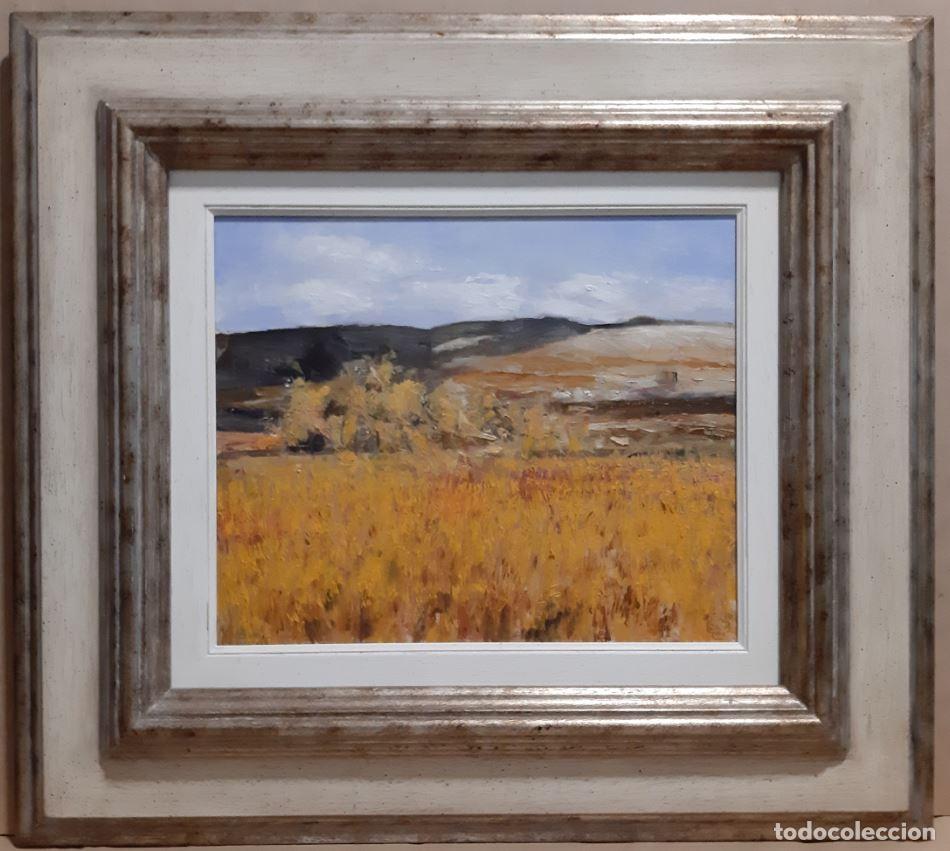 Arte: CAMPOS DE TRIGO de Carlo Lanini