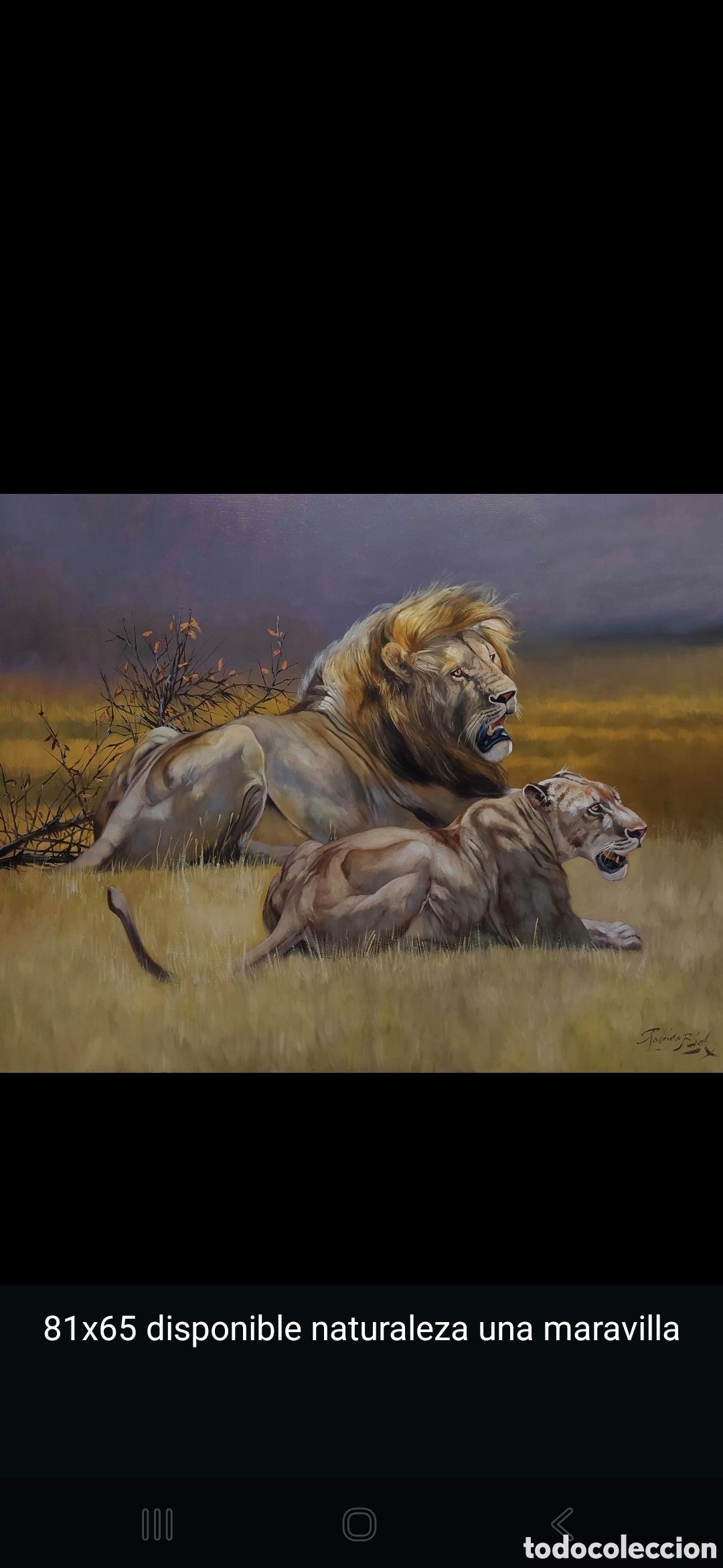 Arte: Oleo sobre tabla rodrigo baez naturaleza leones 81x65