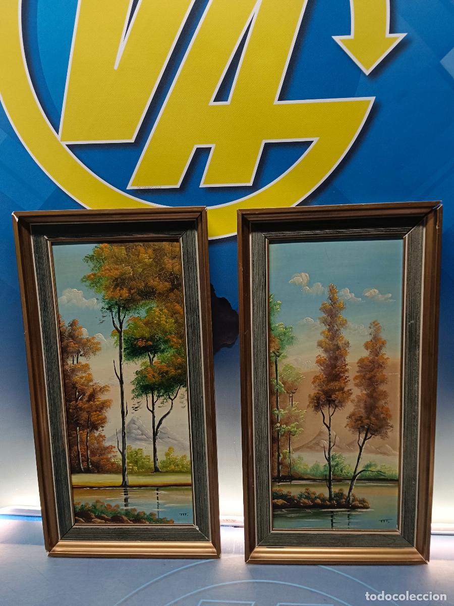 Arte: preciosos cuadros decorativos 50x26 cm