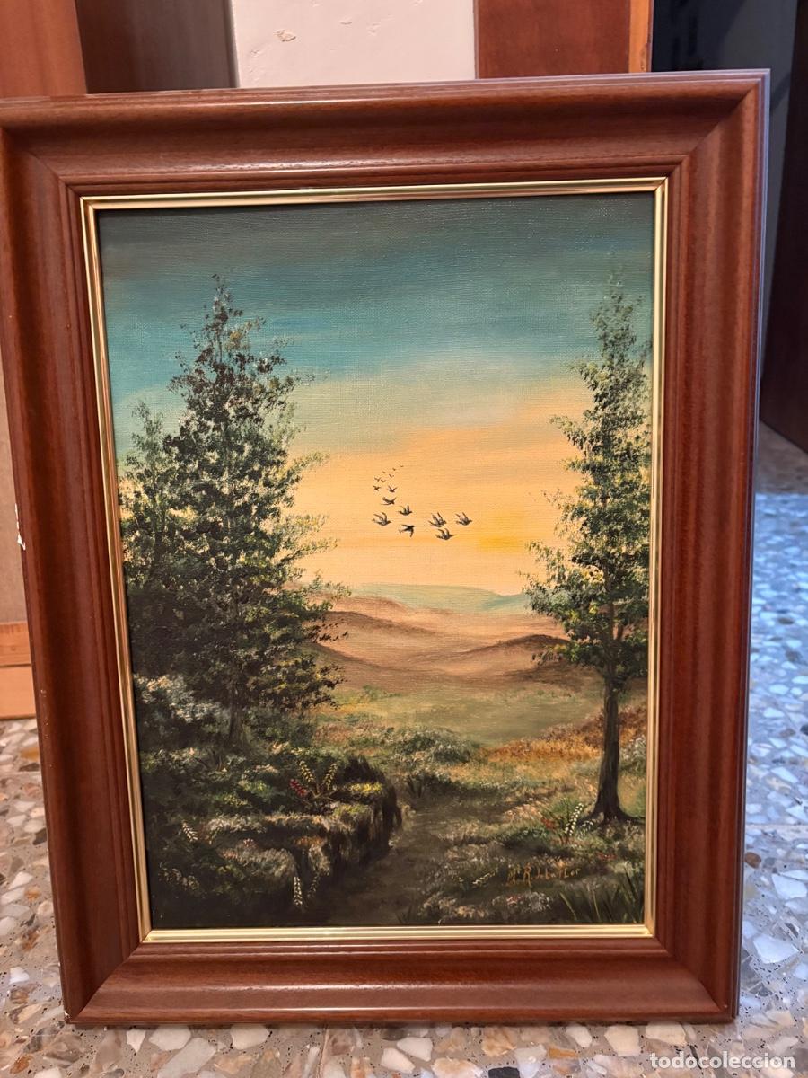 Arte: Paisaje rural de Maluenda, Arag&oacute;n