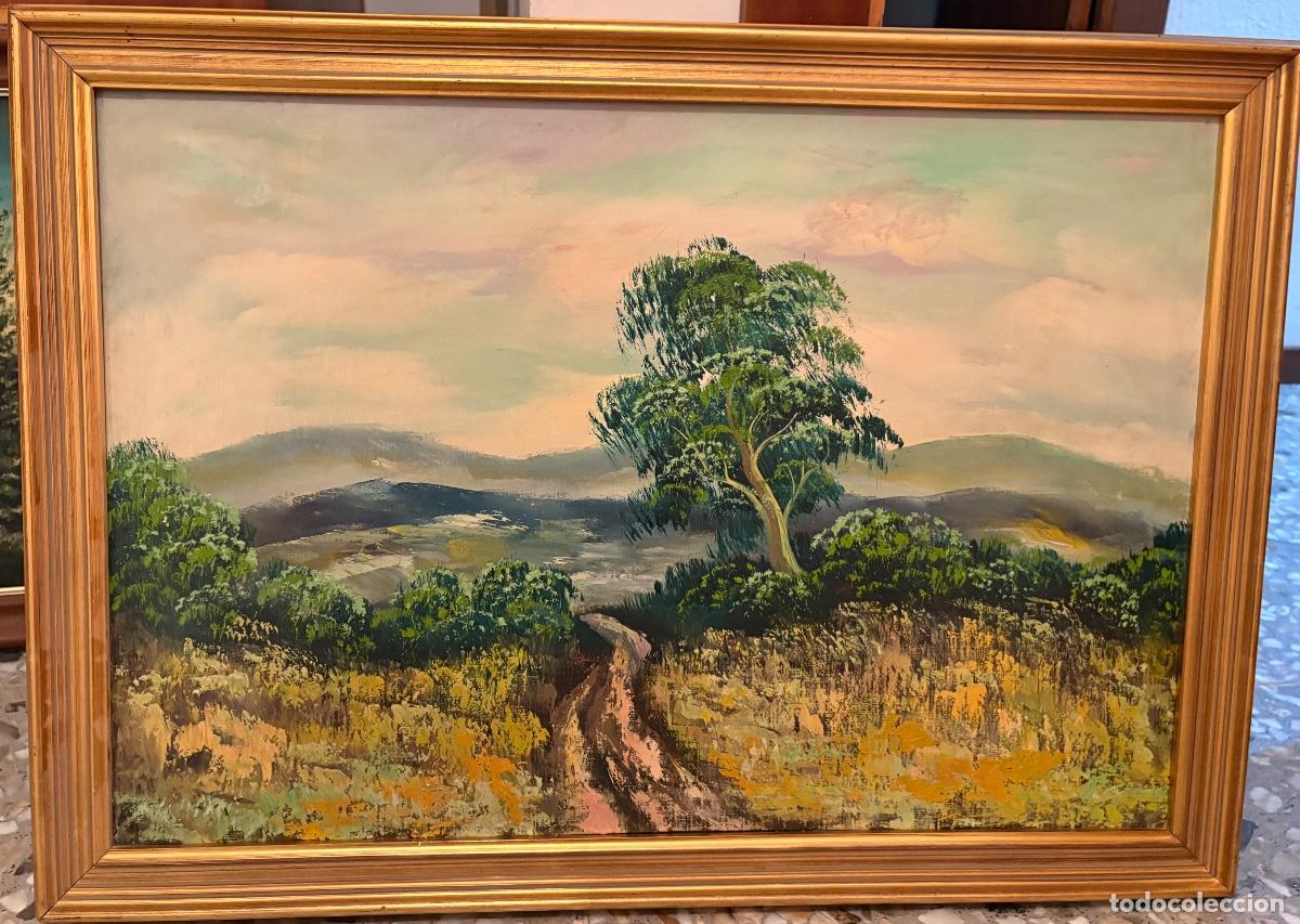 Arte: Lienzo en &oacute;leo rural Maluenda, Arag&oacute;n