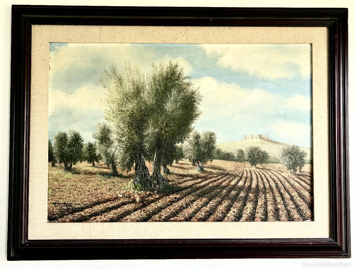 Arte: Francisco Toledano - Castillo de Almonacid - Foto 1