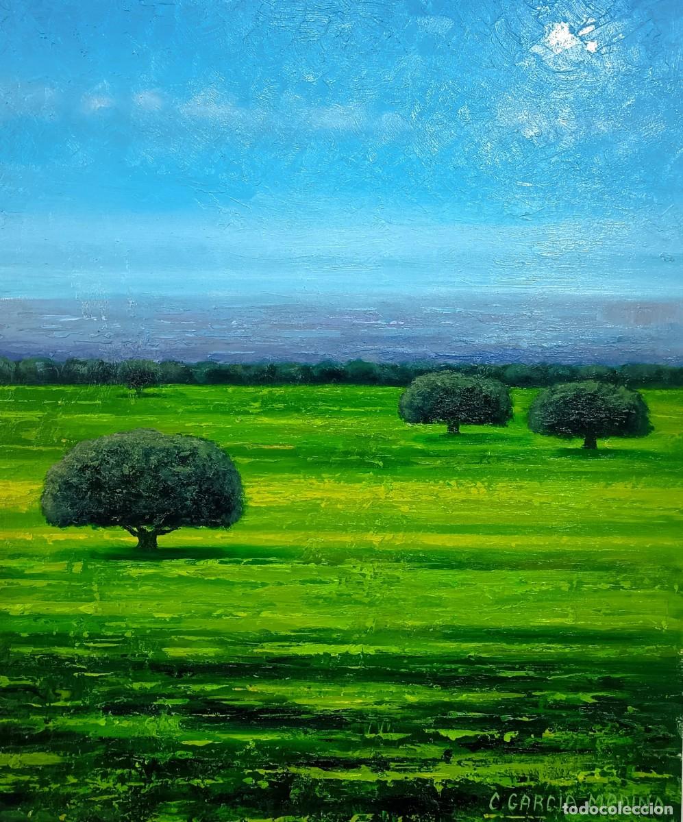 Arte: CUADRO &Oacute;LEO &rdquo;PRADOS Y ENCINAS&rdquo;