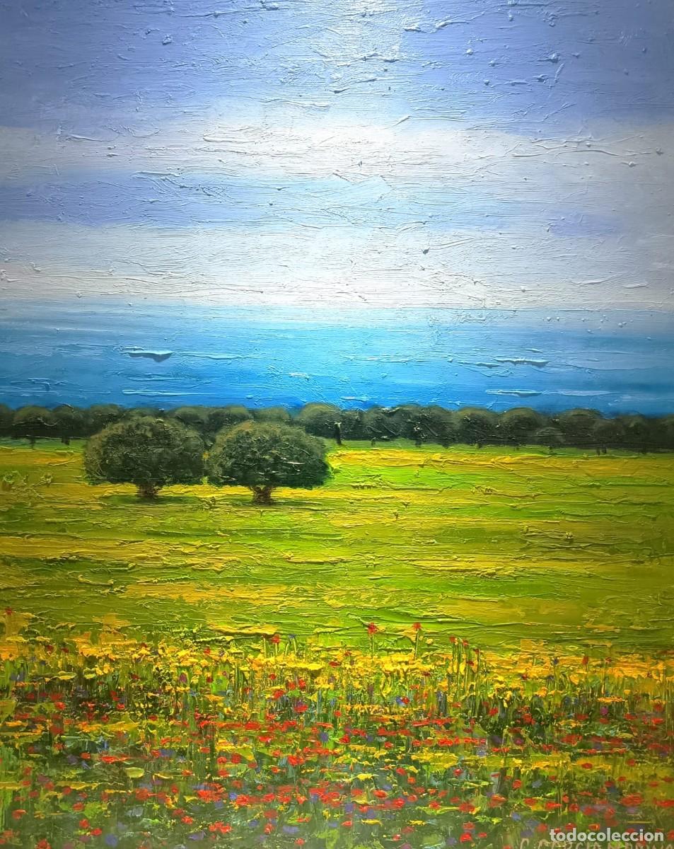 Arte: CUADRO &Oacute;LEO &rdquo;AMAPOLAS FLORES Y ENCINAS&rdquo;