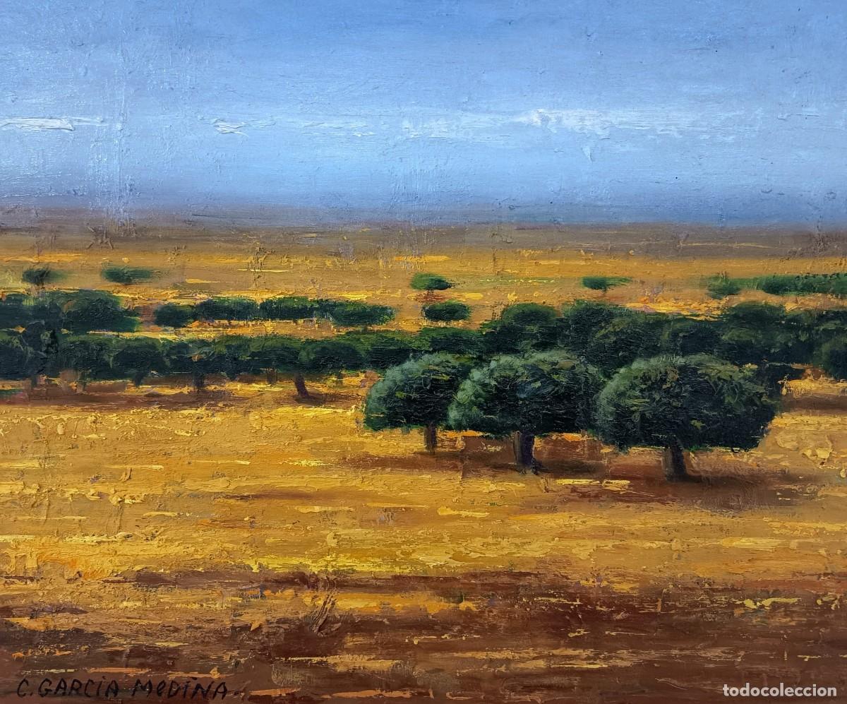 Arte: CUADRO &Oacute;LEO &rdquo;ENCINARES&rdquo; - Foto 1