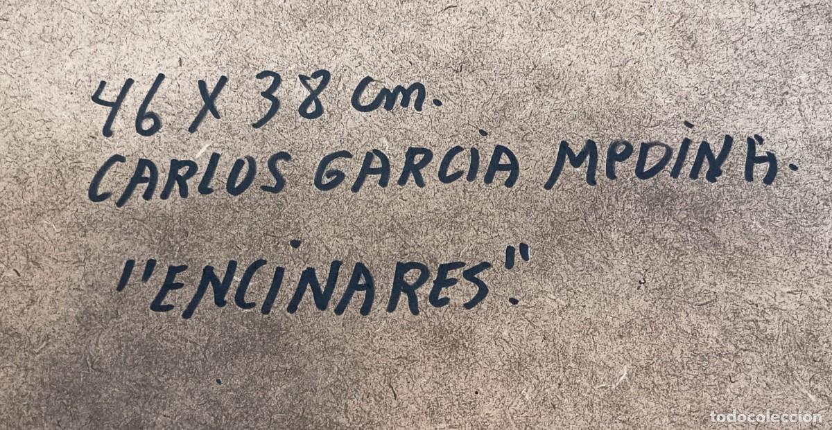Arte: CUADRO &Oacute;LEO &rdquo;ENCINARES&rdquo; - Foto 2