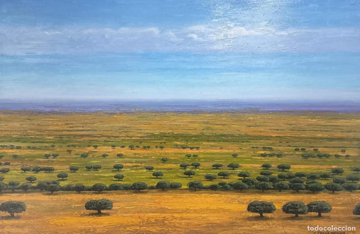 Arte: CUADRO &Oacute;LEO &rdquo;TIERRAS Y ENCINAS&rdquo;