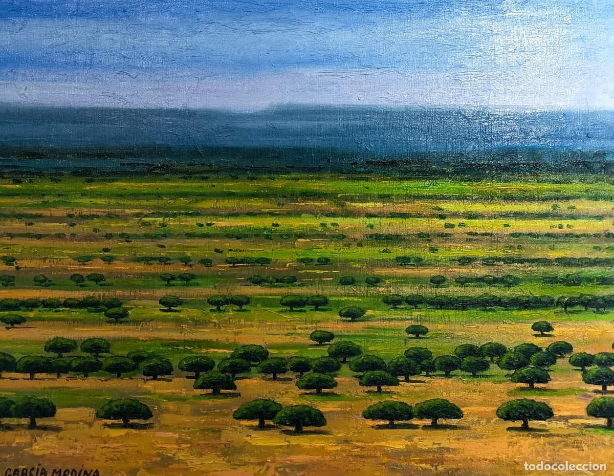 Arte: CUADRO &Oacute;LEO &rdquo;ENCINARES III&rdquo;
