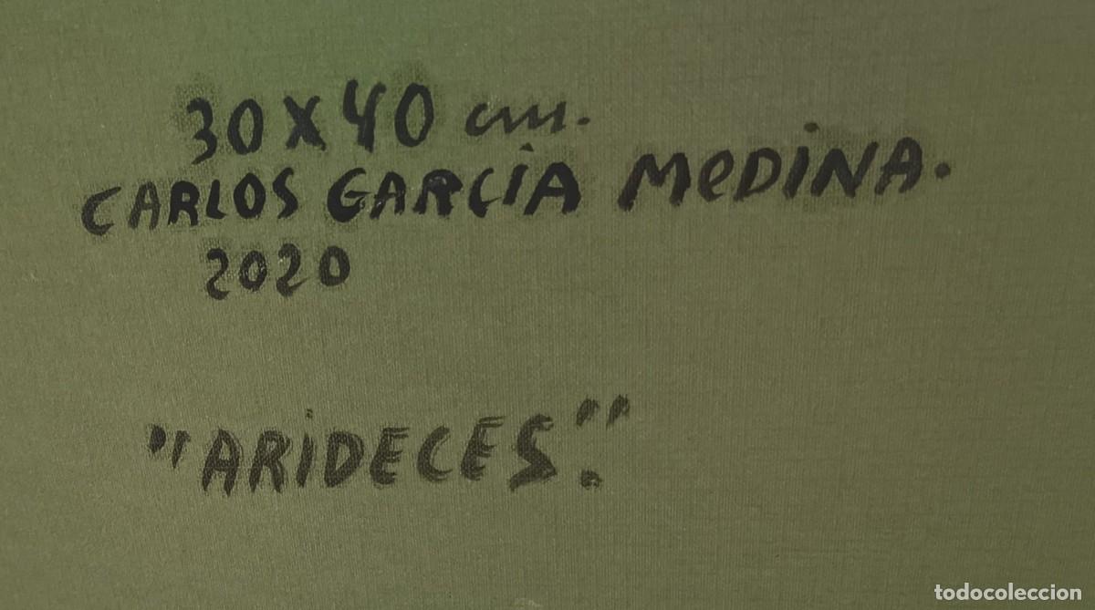 Arte: CUADRO &Oacute;LEO &rdquo;ARIDECES&rdquo; - Foto 2