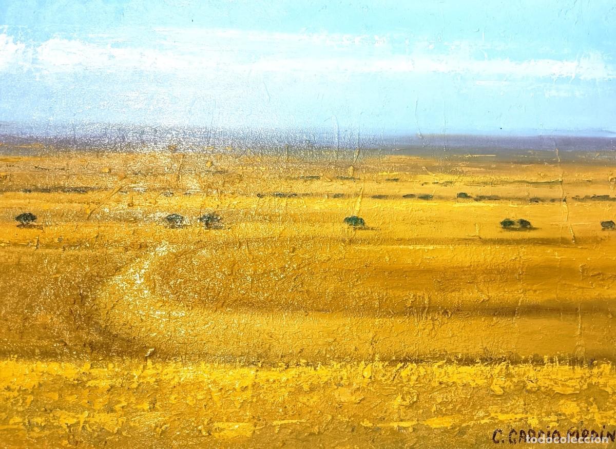 Arte: CUADRO &Oacute;LEO &rdquo; ARIDECES II&rdquo; - Foto 1