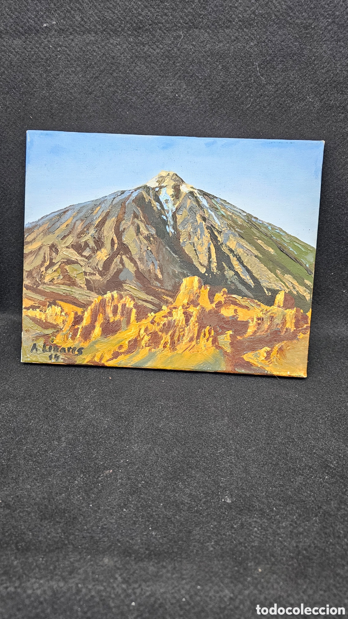 Arte: &Oacute;leo del Teide ( Tenerife )