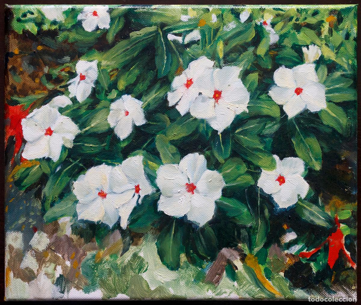 Arte: Cuadro al óleo vincas 30x25 cm
