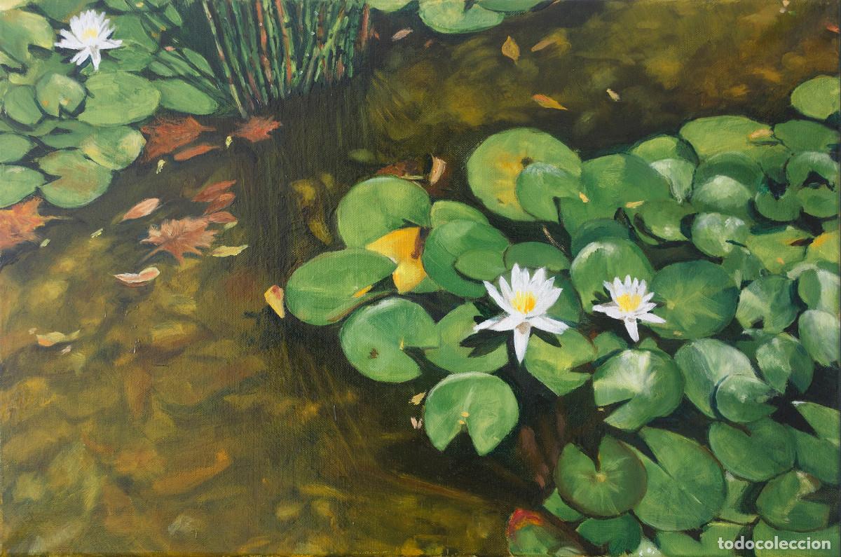 Arte: Cuadro al &oacute;leo lirios de agua 60x40 cm