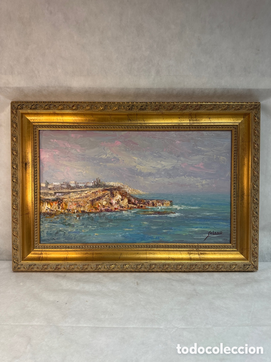 Arte: Vicente Solano - Rinc&oacute;n de la Cala de la Zorra - Torrevieja