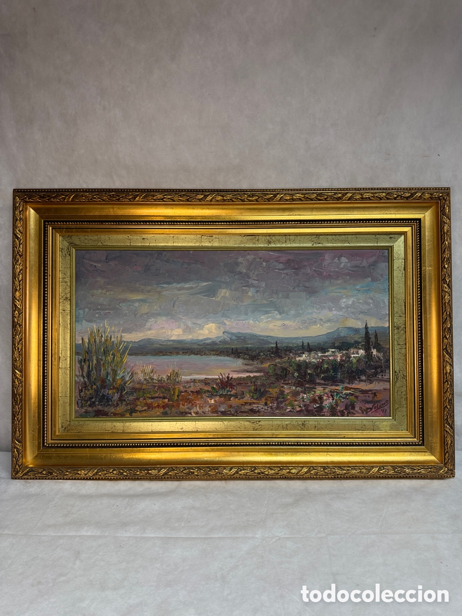 Arte: Vicente Solano - Laguna Torrevieja