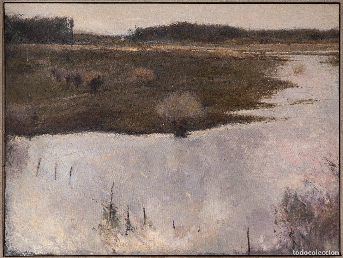Arte: Paisaje entorno de Do&ntilde;ana &oacute;leo sobre lienzo Luis Manuel Fern&aacute;ndez firmado y fechado 1992 1993