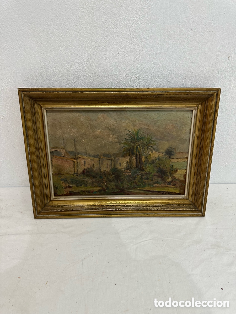 Arte: &Oacute;leo sobre tabla firmado. Paisaje mediterr&aacute;neo con palmera. Escuela espa&ntilde;ola siglo XX
