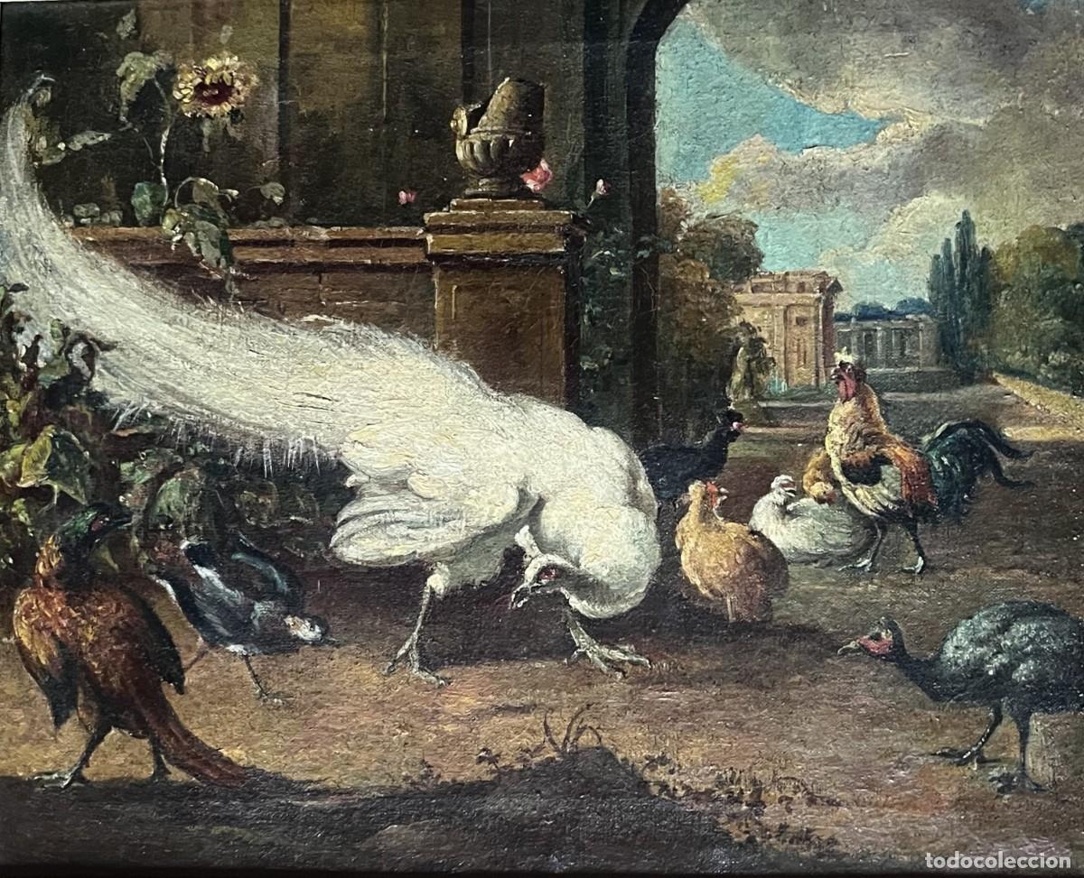 Arte: Melchior de Hondecoeter, a partir de la obra de. AN&Oacute;NIMO Europeo - Siglo XVIII - Oleo sobre tela.