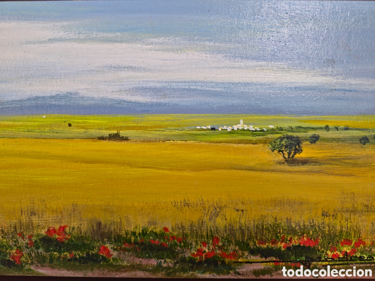 Arte: Paisaje Panor&aacute;mica por Jose Madrenas Sais