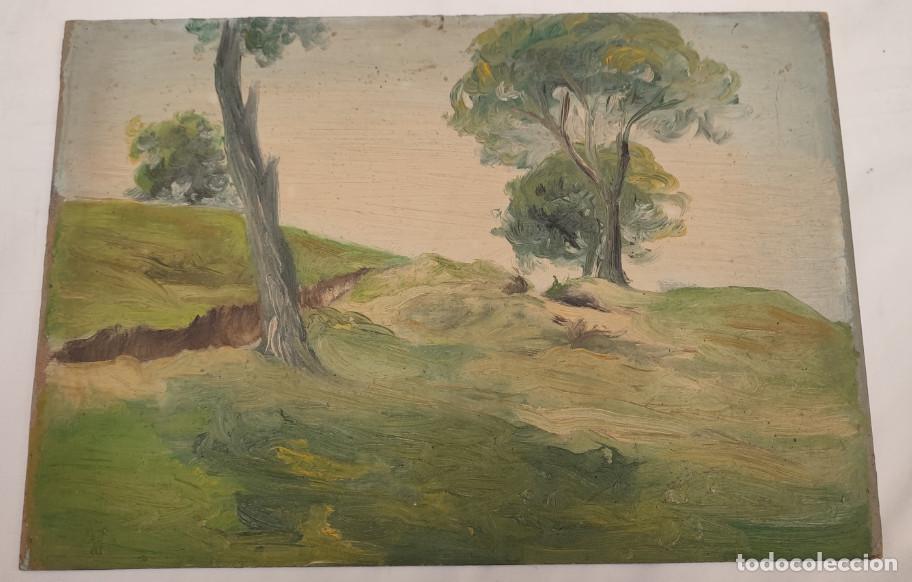 Arte: PINTURA SOBRE CARTON DURO, NO TIENE FIRMA, VER DESCRICION, 3&ordm;
