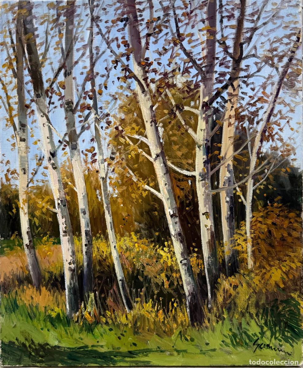 Arte: Antoni Maria Sadurn&iacute; i Alba&ntilde;&agrave; &ndash; Bosque oto&ntilde;al de abedules &ndash; &Oacute;leo sobre lienzo firmado