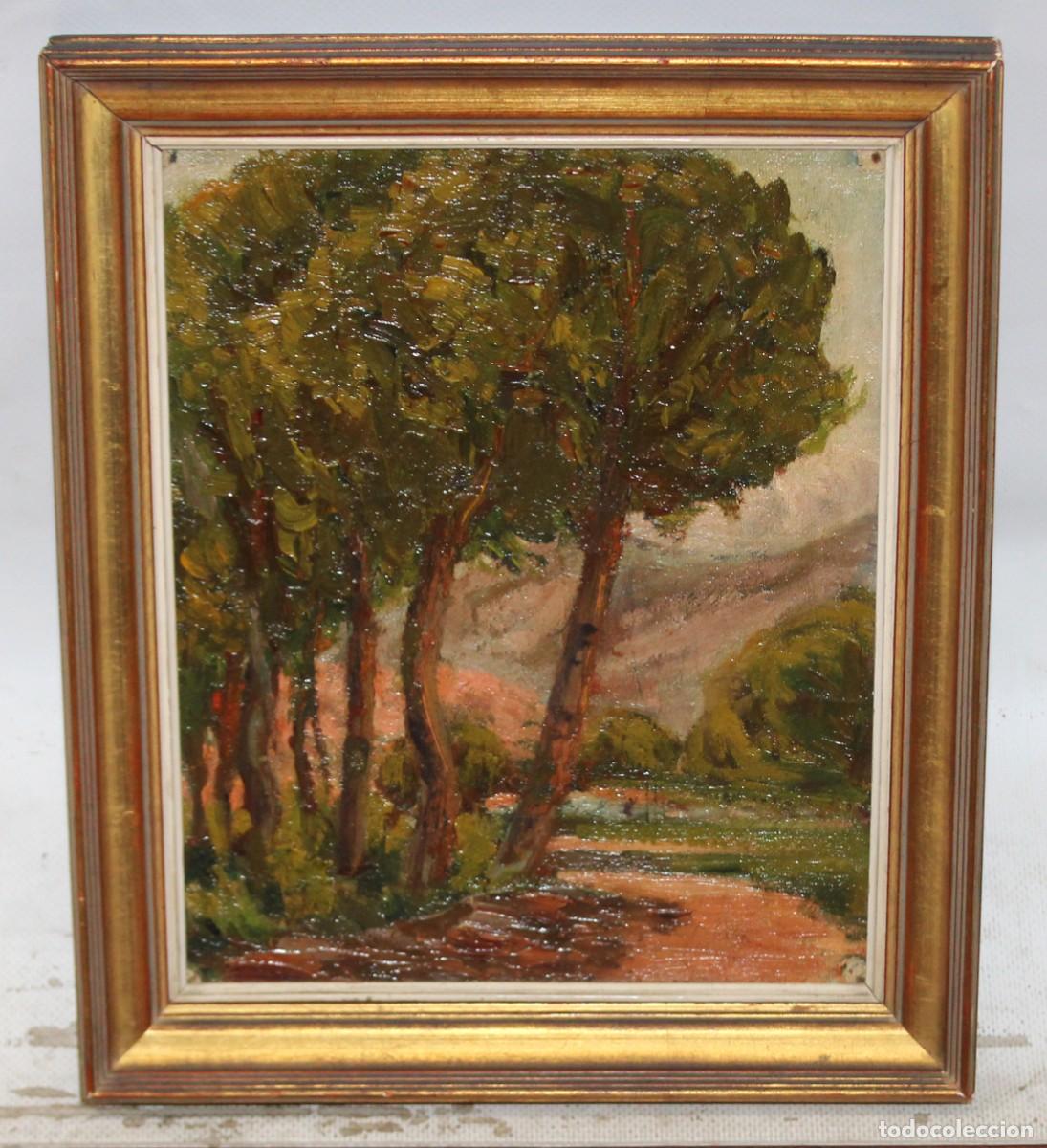 Arte: ESCUELA ESPA&Ntilde;OLA (SIGLO XX) OLEO SOBRE CARTON DE AUTOR ANONIMO. PAISAJE